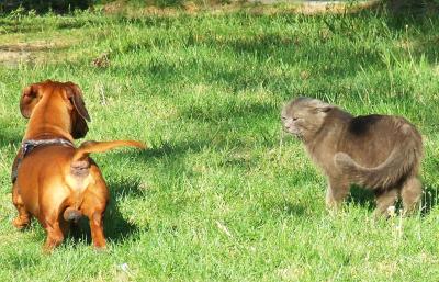 Прикрепленное изображение: t3.jpg